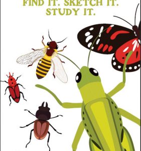 Insect Journal: Bug Collector’s Notebook for Kids: Find It. Sketch It. Study It.
